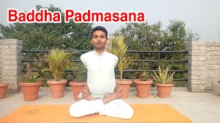 How to Practice Baddha Padmasana Locked Lotus Pose बद्ध पद्मासन [upl. by Nylad]