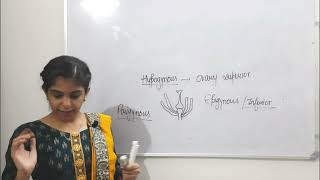 Morphology of Flowering Plants class11biology biology cbse [upl. by Yert]