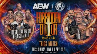 AEW Forbidden Door 30 June 2024 Preview [upl. by Anytsyrk958]