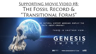 The Fossil Record and Transitional Forms [upl. by Yawnoc]