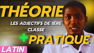 Latin Les ADJECTIFS de 1ère classe Théorie  Pratique [upl. by Ymaral]