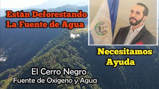 Están Deforestando El Cerro Negro en Chalatenango El Salvador Necesitamos Ayuda Para Salvar El Bosqu [upl. by Kara51]