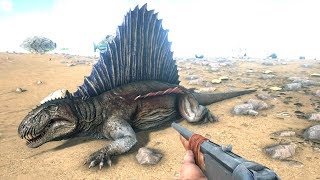 10 Amazing Facts About The DIMETRODON [upl. by Eelamme]