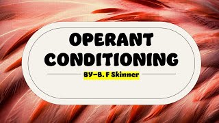 Operant Conditioning [upl. by Richarda]