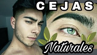 Cejas Pobladas y Naturales 😍🌿Crecer las Cejas 😵 [upl. by Anirdua696]