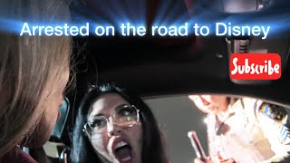 Road trip to Disney gone wrong dailyvlog￼ [upl. by Lecram]