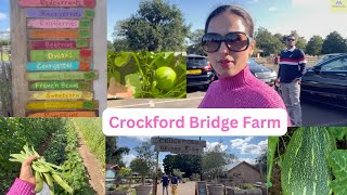 Crockford Bridge Farm Vegetable amp Fruits Selling  Farmers Hard Worker farming The Mahalaxmi Show [upl. by Anit573]