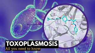 Toxoplasmosis What You Need To Know [upl. by Harri]