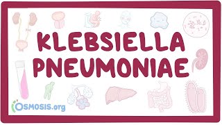 Klebsiella pneumoniae  an Osmosis Preview [upl. by Giuseppe]