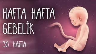 Hafta Hafta Gebelik 30 hafta [upl. by Ynad]