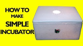 Homemade Incubator  How to Make an Egg Incubator  incubator for chicken eggs [upl. by Helban]