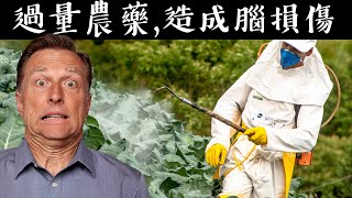 世界上用最多的農藥？解毒法：吃十字花科與斷食自然療法柏格醫生 Dr Berg [upl. by Cleopatre]