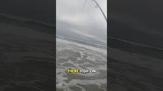 Fish the whitewash Waves break sand crabs loose and get the CA Surfperch feeding [upl. by Lamarre86]