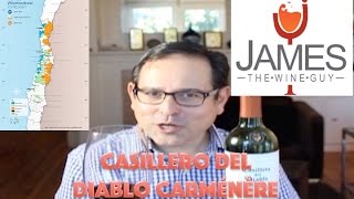 Casillero del Diablo Chile Carménère  13 88 Points [upl. by Ahseenal317]