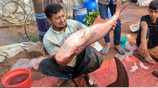 🔴 Amazing Live Giant Pangas Fish Cutting Skills  Fish Cutting Skills [upl. by Ynnek]