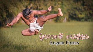 Angampora Martial Art  අංගමේ සෙල්ලං  Angam Forms [upl. by Ayaladnot]