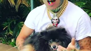 Tekashi69  New Grillz [upl. by Anahcar]