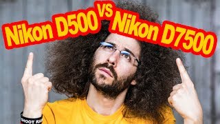 Nikon D500 VS Nikon D7500 Comparison Which To Buy [upl. by Nacim]