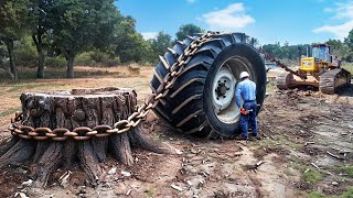 Dangerous Powerful Stump Removal Excavator Working Incredible Wood Chipper Machines in Action [upl. by Grannie428]