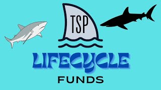 TSP Lifecycle Funds [upl. by Mehta]