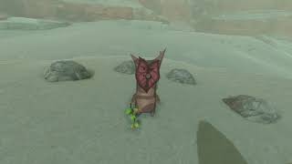 Korok seeds  Mystathis Shelf  Gerudo Tower 28  Zelda BOTW [upl. by Theone]