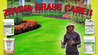 How To Care For Zoysia Grass Full Guide Fertilizer  Mowing  Watering  Pest  Fungus  Weeds [upl. by Rambow253]