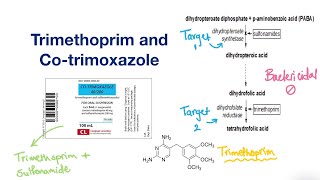 Trimethoprim and Cotrimoxazole  Infectious Disease [upl. by Hersh]