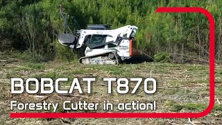 We Put the Bobcat T870 Forestry Cutter to the Test [upl. by Poole]