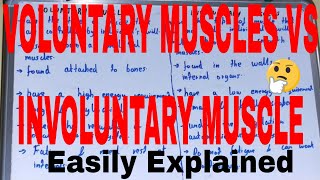 Voluntary vs Involuntary MusclesDifference between voluntary muscles and involuntary muscles [upl. by Sueahccaz]