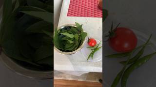 Todays Harvest tomatoes chillies youtubeshorts shorts [upl. by Ranson]