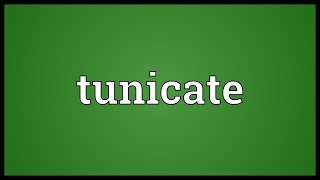 Tunicate Meaning [upl. by Wystand]