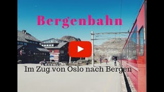 Bergenbahn  Im Zug von Oslo nach Bergen WOW [upl. by Nimref]