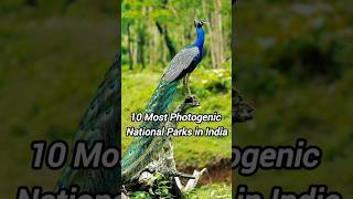 10 Most Photogenic National Parks in India nationalpark naturephotography photography parks [upl. by Violante]