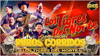 Pur0s C0rrid0s 🔥  Los Tigres de N0rte🤠🔥  Lo Mejor Colección✅Mix Para Pistear 2024🎶🍻 5123 [upl. by Noy818]