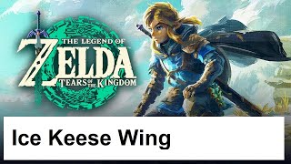 The Legend of Zelda Tears of the Kingdom  Ice Keese Wing  Location [upl. by Attenrev]