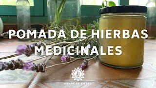 Como Hacer POMADAS DE PLANTAS MEDICINALES Pomadas naturales 🌿🌼 🌸🪴 [upl. by Ahsinor]