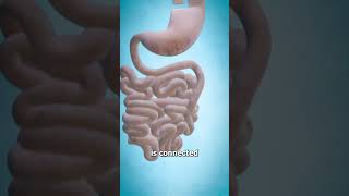 Gastric Bypass Surgery 😷 explained [upl. by Eimia]