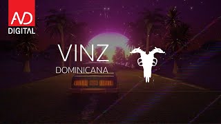 Vinz  Dominicana Official Lyrics Video [upl. by Hgierb309]