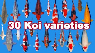 30 Koi Fish varieties types and characteristics [upl. by Sellers871]