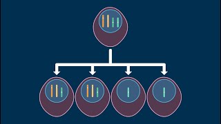 Nondisjunction in Meiosis [upl. by Yle]