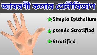 আবরণী কলার শ্রেনিবিভাগ  Types of Epithelial Tissu  Anatomy physiology  Homoeo Onushilon [upl. by Notelrahc]