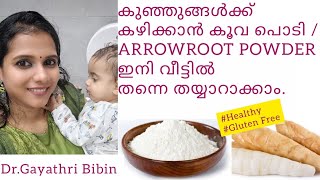 koova podi making malayalam കൂവ പൊടി Preparation  recipe ARROWROOT POWDER  Baby Food  Benefits [upl. by Fishbein]