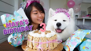 My Dogs EXCITING Third Birthday With DIY Dog Birthday Cake Recipe [upl. by Suzanne138]