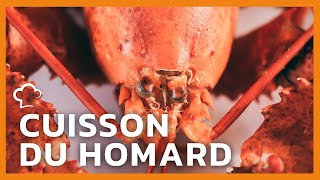 Comment cuire le homard 🦞  FoodCuisine [upl. by Ellecrad]