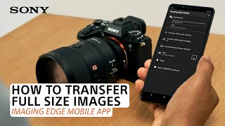 Sony  Imaging Edge Mobile App How to transfer fullsize images [upl. by Birchard]