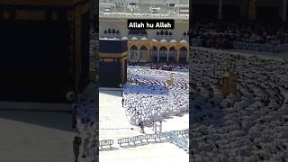 Makkah namaz Haji namaz ada kar rahe h 🥰🥰 shorts shortsfeed viralshorts makkah madina vlog [upl. by Parshall]