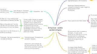 Cadeia epidemiológica  Erliquiose Canina [upl. by Zoldi]