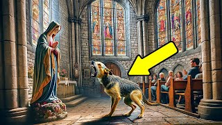 Un Chien Narrête Pas d’Aboyer Contre la Statue de Marie en Pleine Messe Tout le Monde Devient Pâle [upl. by Okkin]