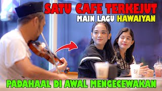 Satu Cafe Terkejut Padahal Di awal Mengecewakan Main lagu HAWAIYAN [upl. by Onra]