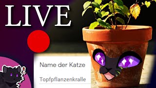 Schon wieder eure Steckbriefe pt 2 LIVE 🔴 vom 24102021 [upl. by Medarda]